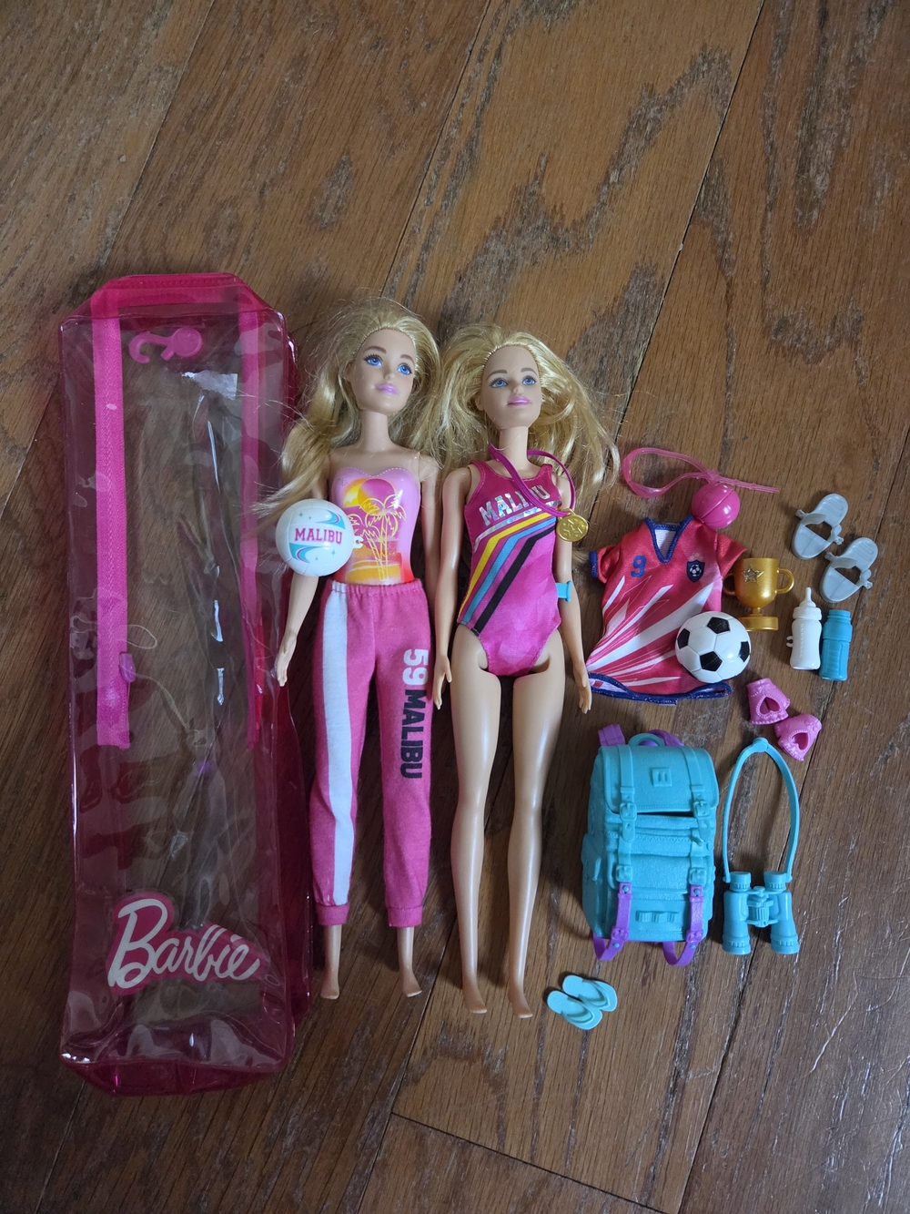 Barbie Pink & Teal Malibu Sports Doll Duo with Accessories & Case
